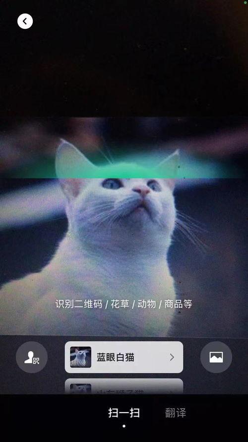 妖怪视频号直播爆料,妖怪视频号直播爆料背后的神秘世界